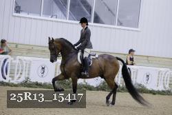 25R13_15417 proof