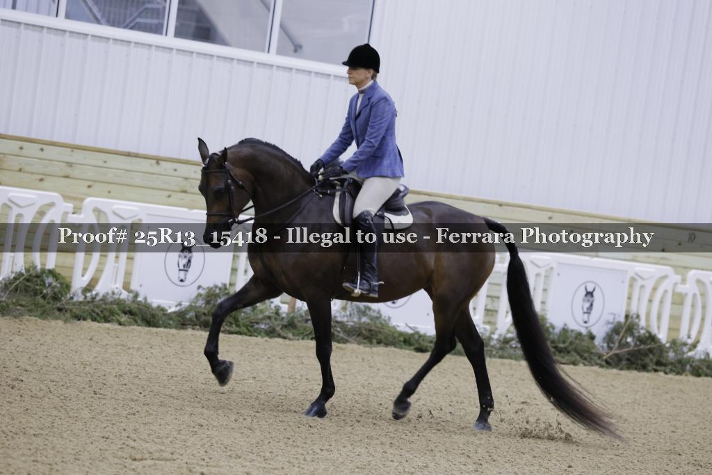 Proof 25R13_15418