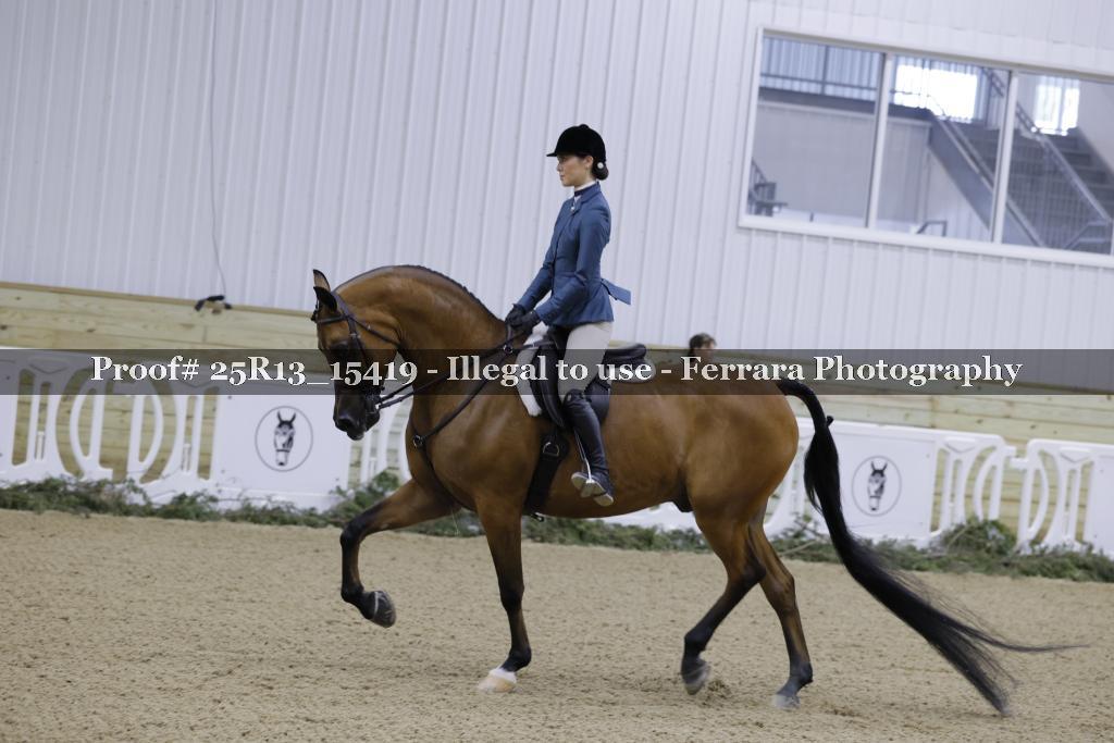 Proof 25R13_15419