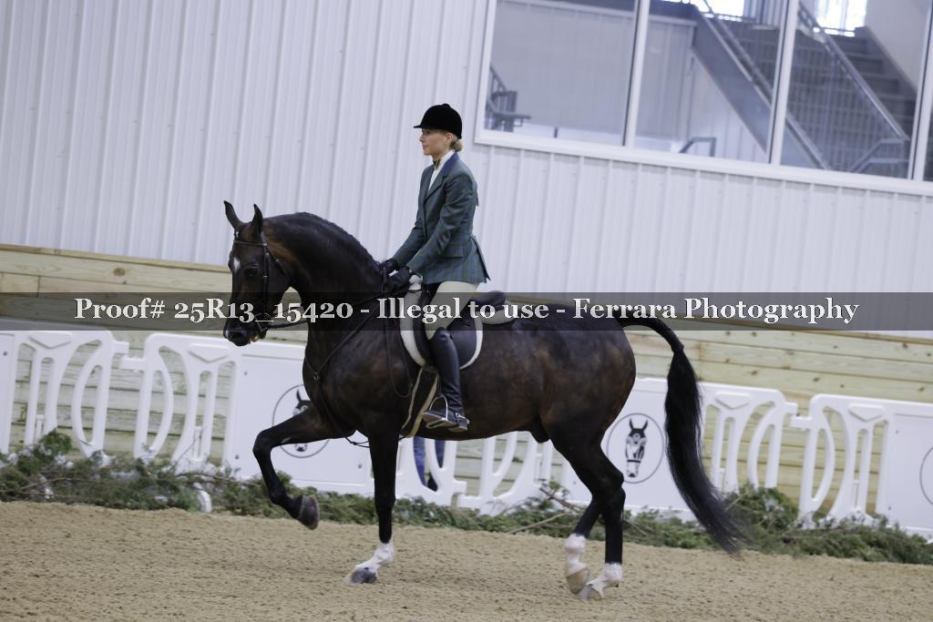 Proof 25R13_15420