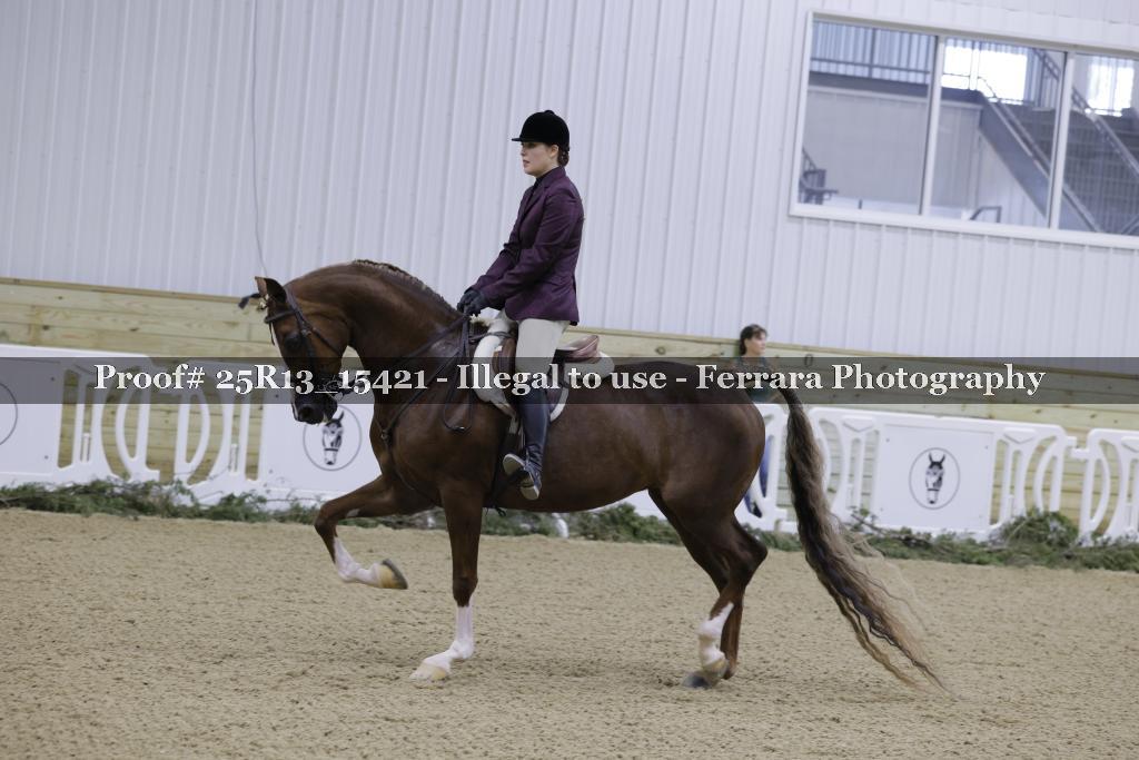 Proof 25R13_15421