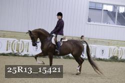 25R13_15421 proof