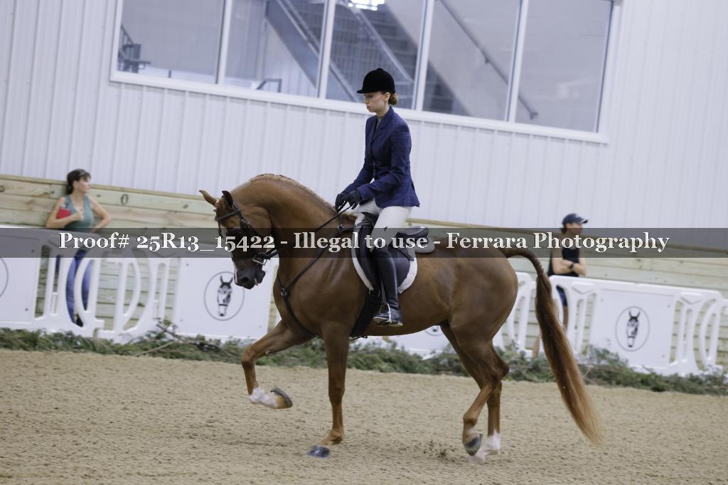 Proof 25R13_15422
