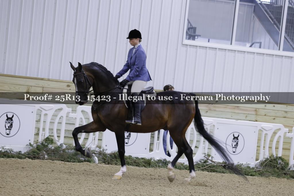 Proof 25R13_15423