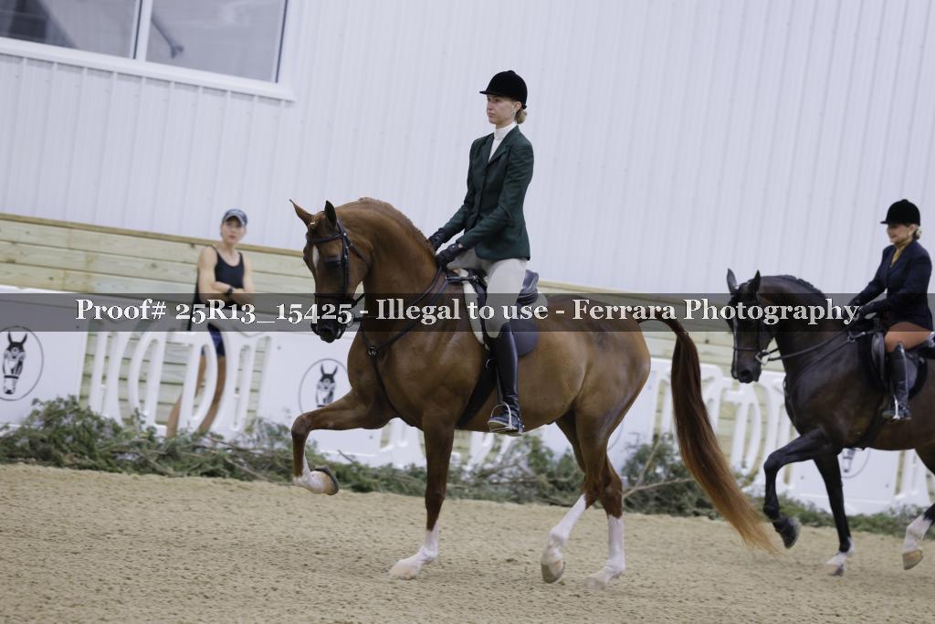 Proof 25R13_15425
