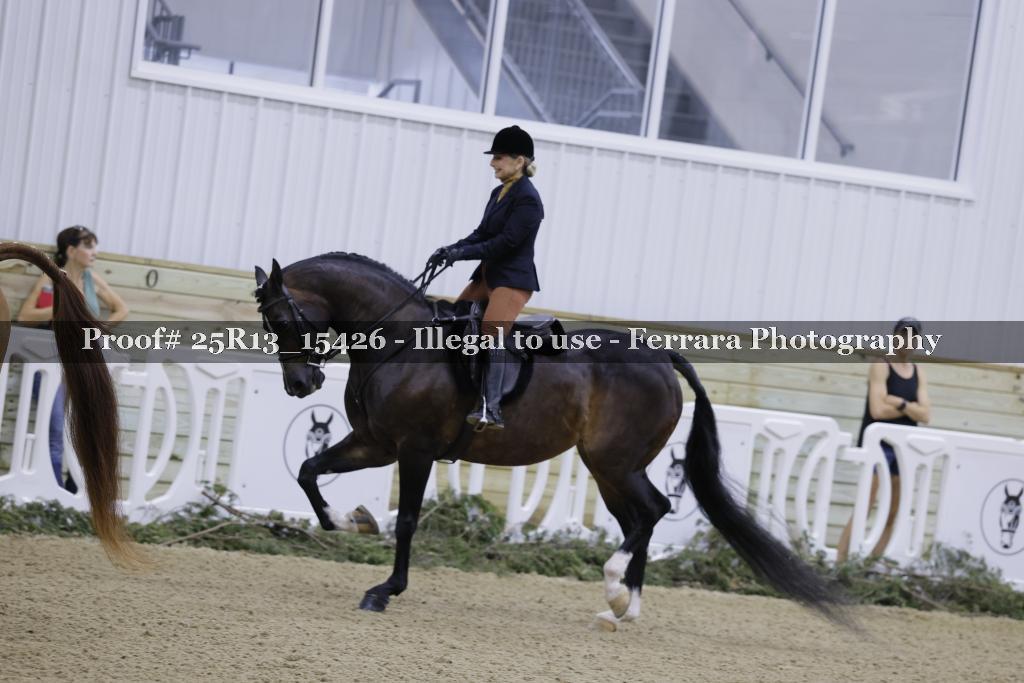 Proof 25R13_15426