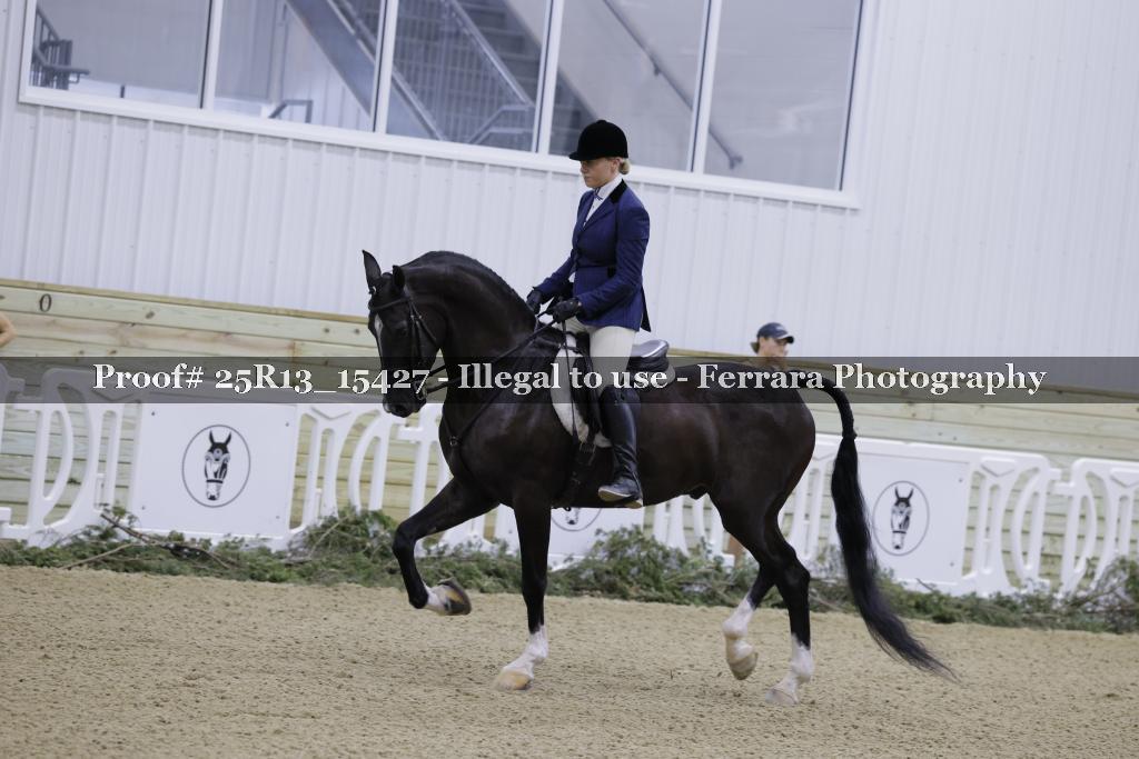 Proof 25R13_15427
