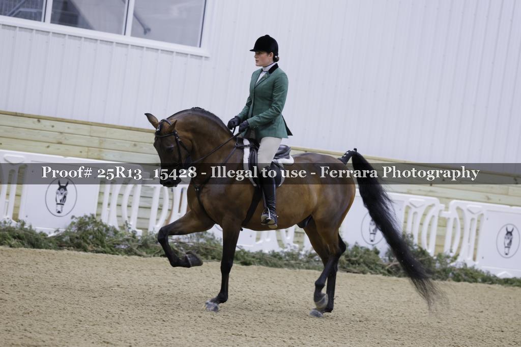 Proof 25R13_15428