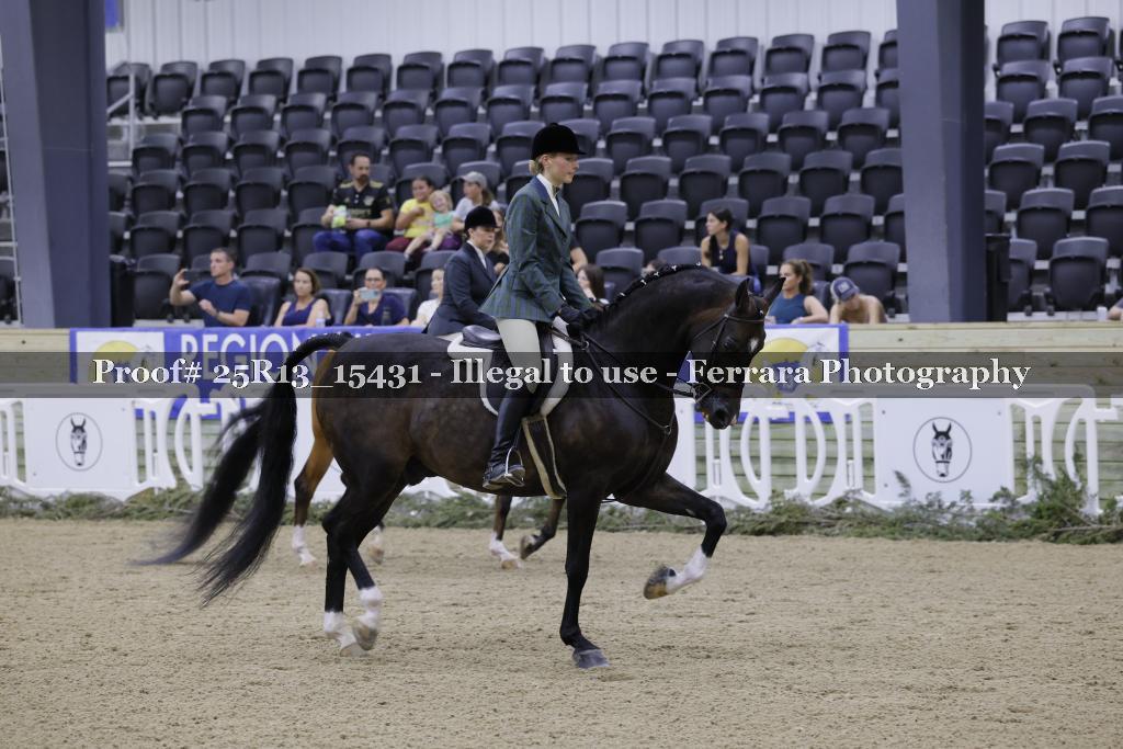 Proof 25R13_15431