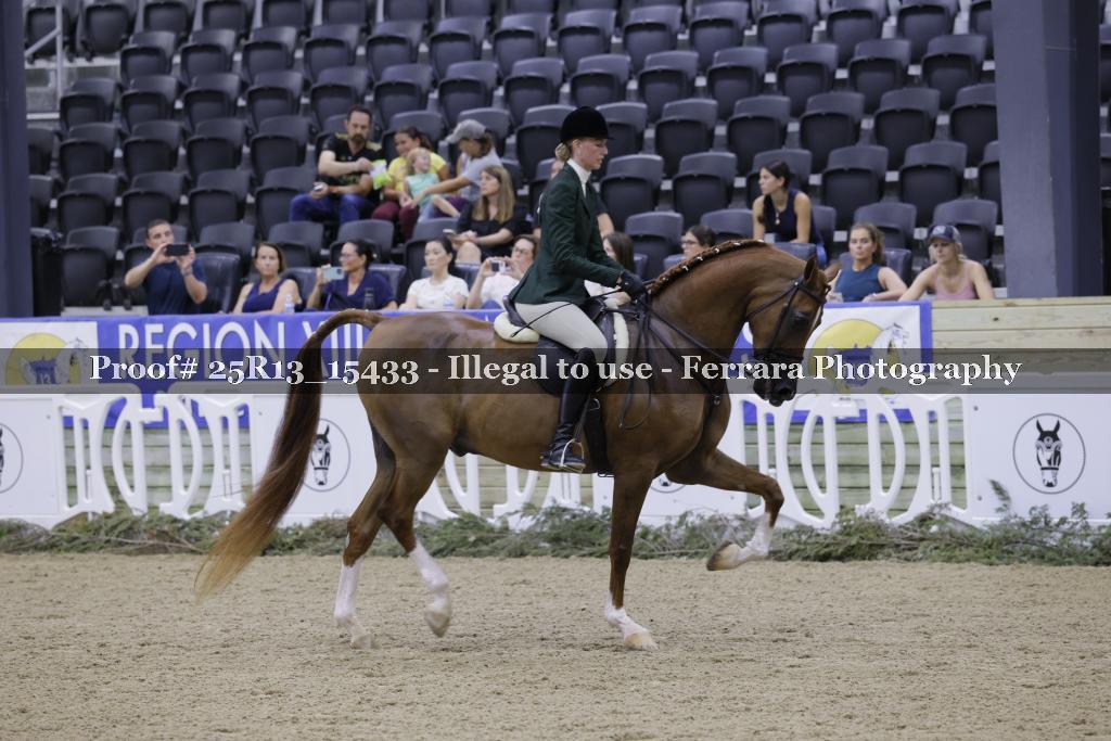 Proof 25R13_15433