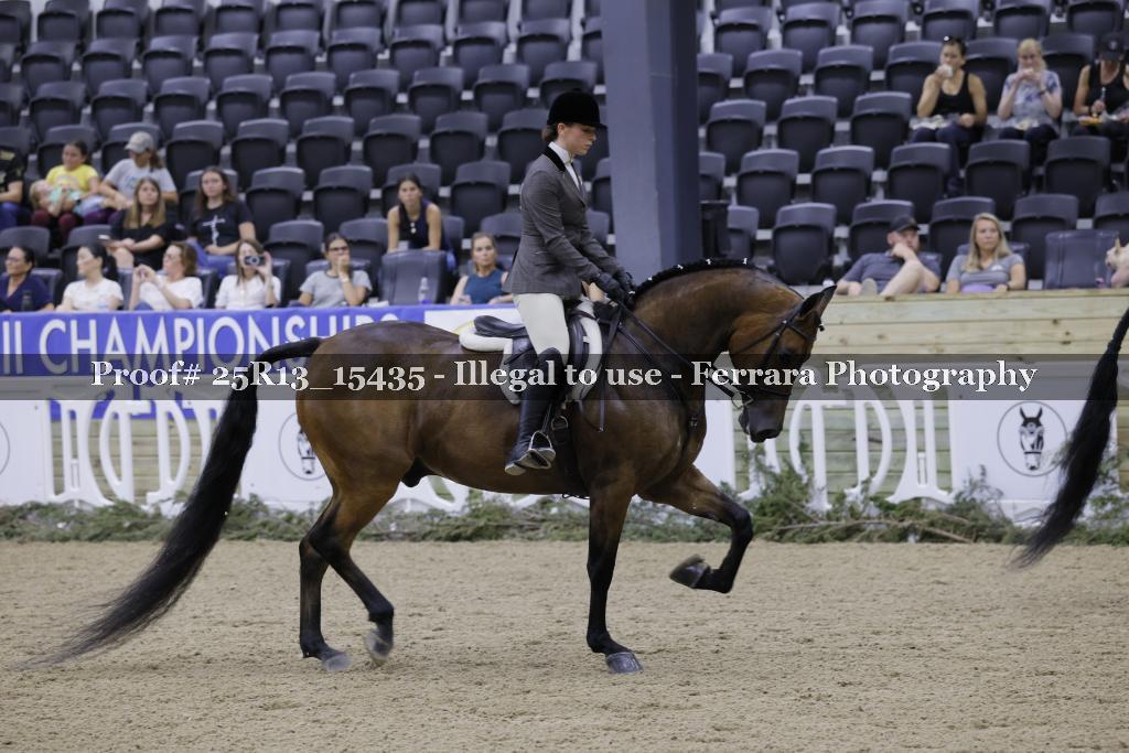 Proof 25R13_15435