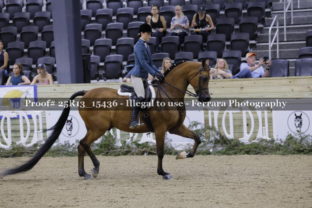 Proof 25R13_15436