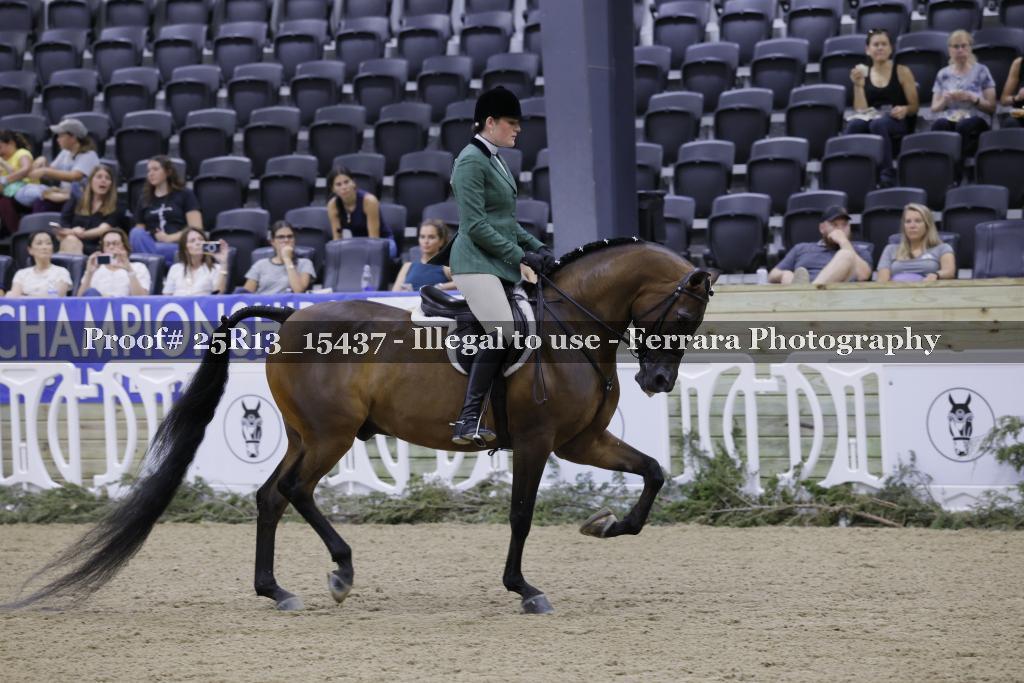 Proof 25R13_15437