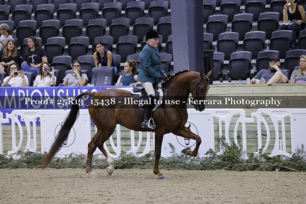 Proof 25R13_15438