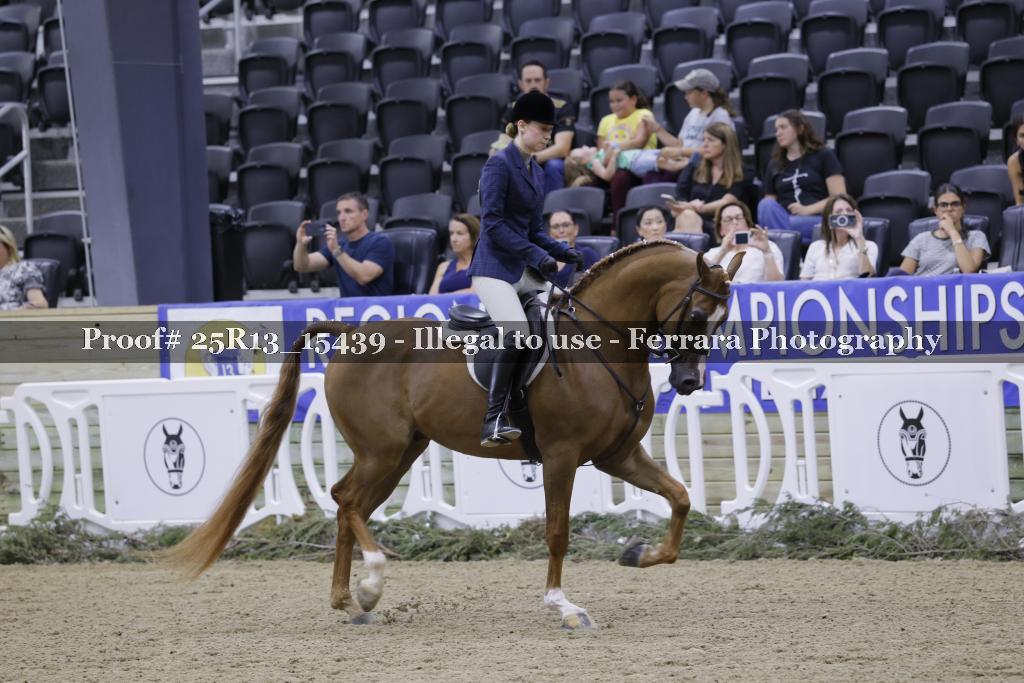 Proof 25R13_15439
