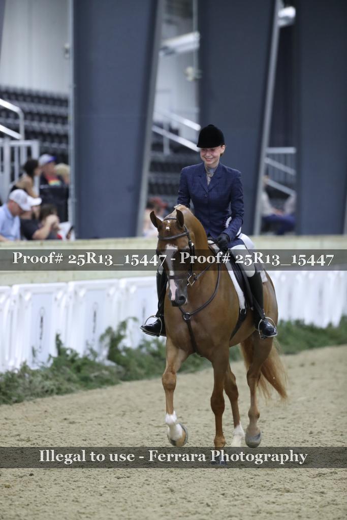 Proof 25R13_15447
