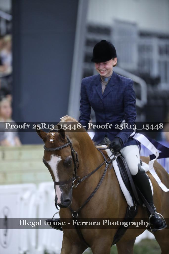 Proof 25R13_15448
