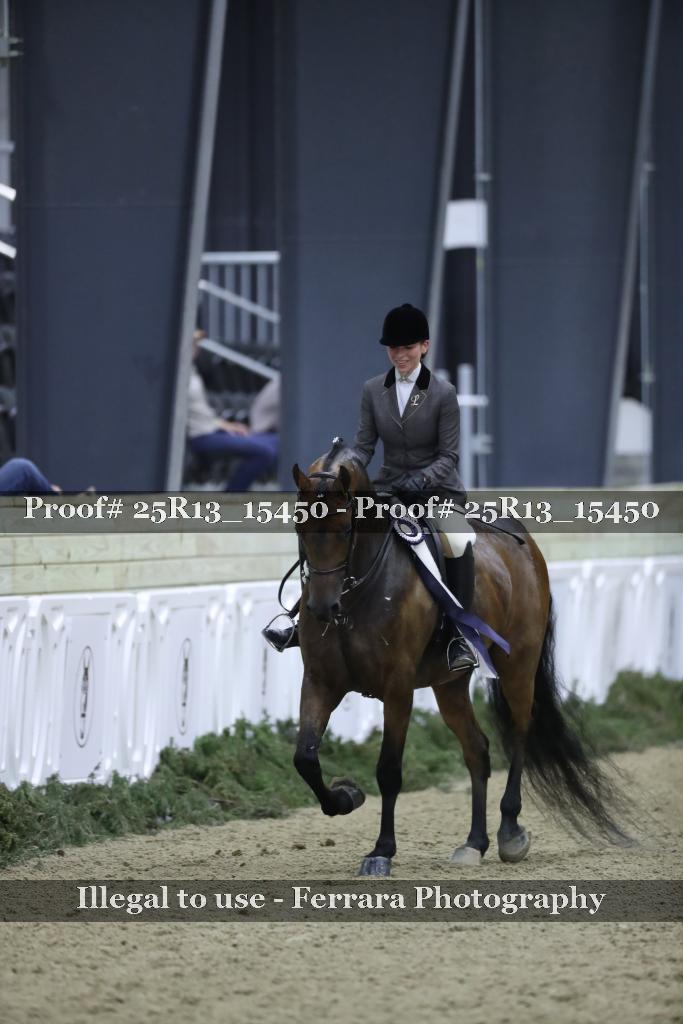 Proof 25R13_15450