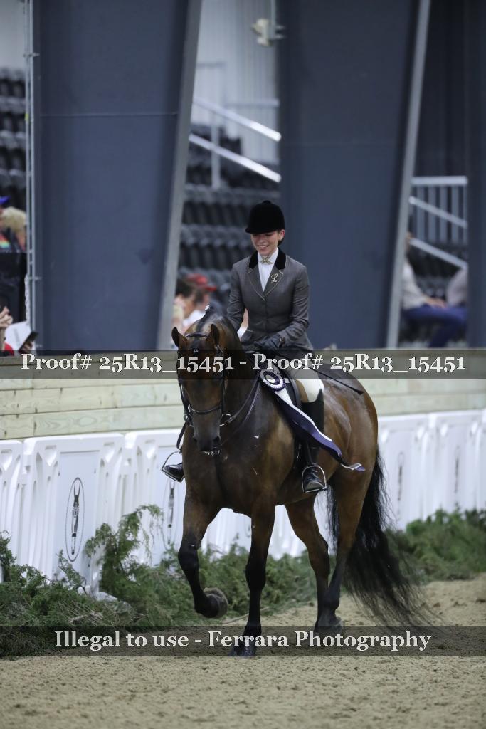 Proof 25R13_15451