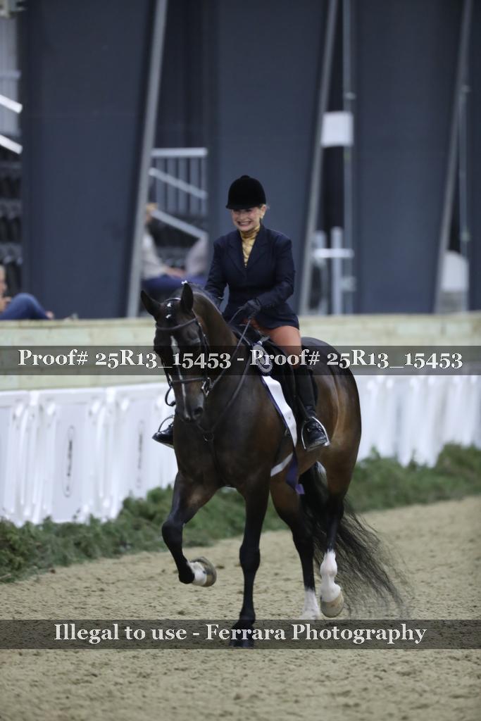 Proof 25R13_15453