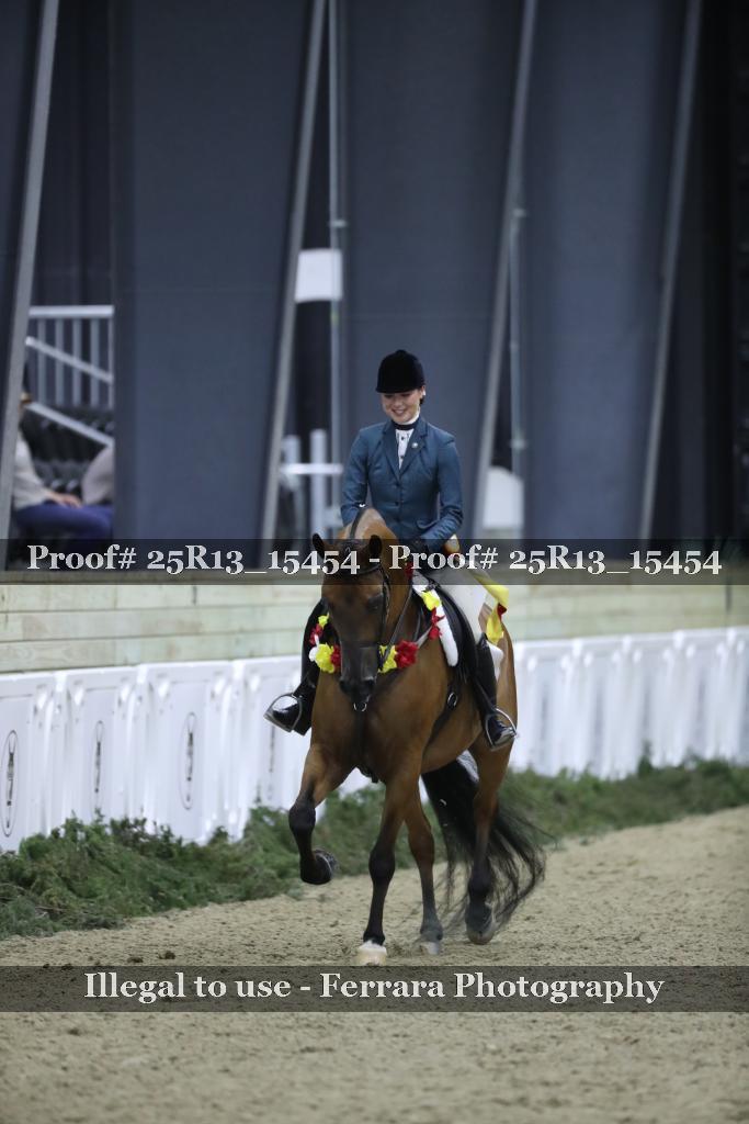 Proof 25R13_15454