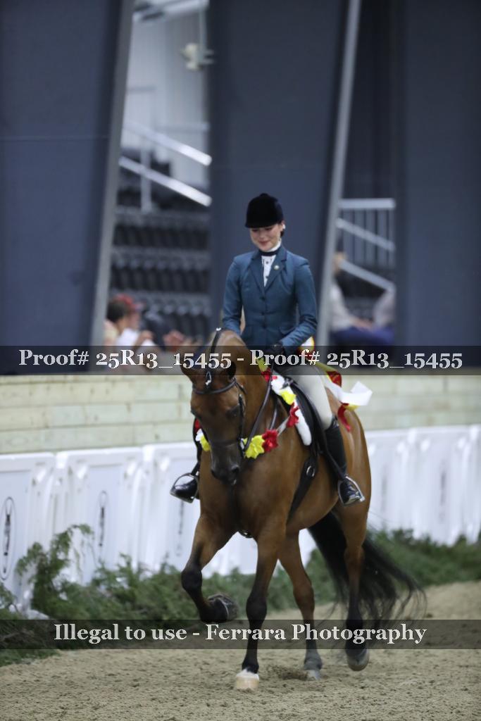 Proof 25R13_15455