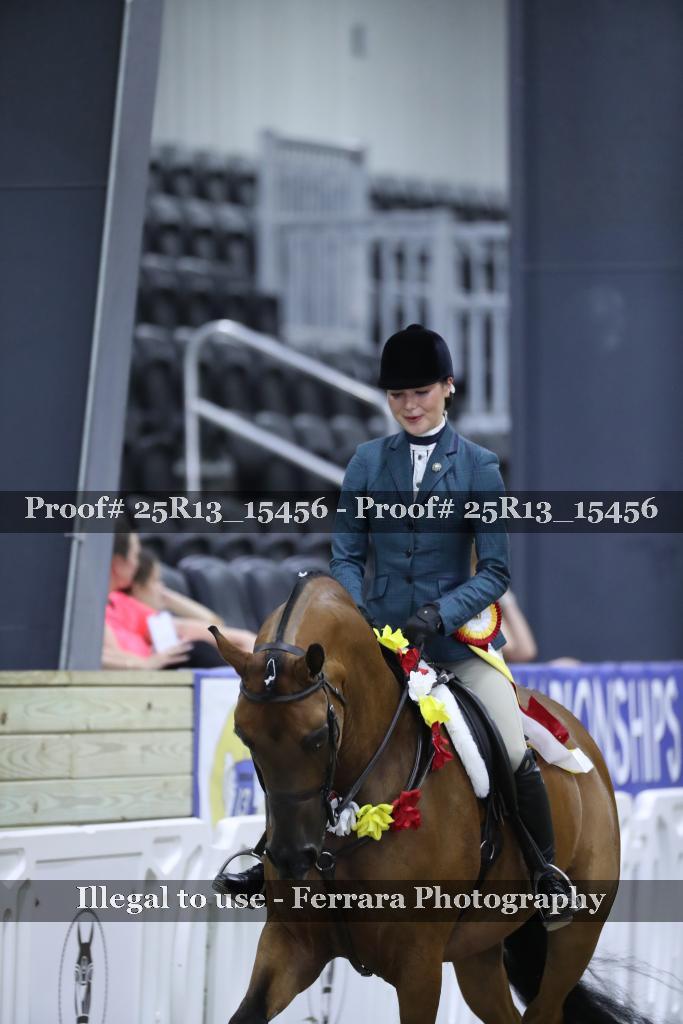 Proof 25R13_15456
