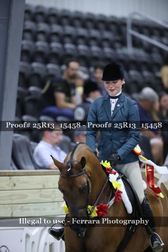 Proof 25R13_15458