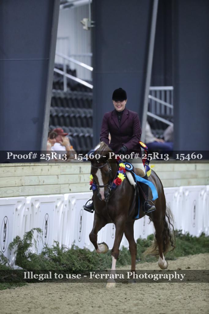 Proof 25R13_15460