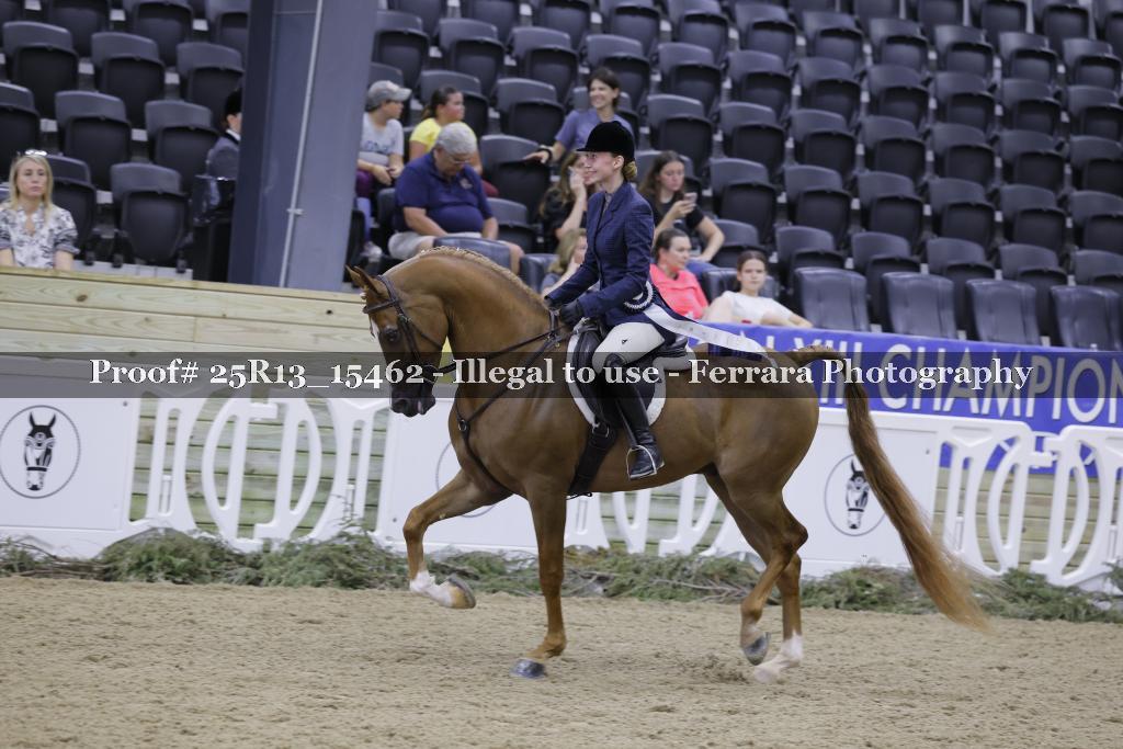 Proof 25R13_15462