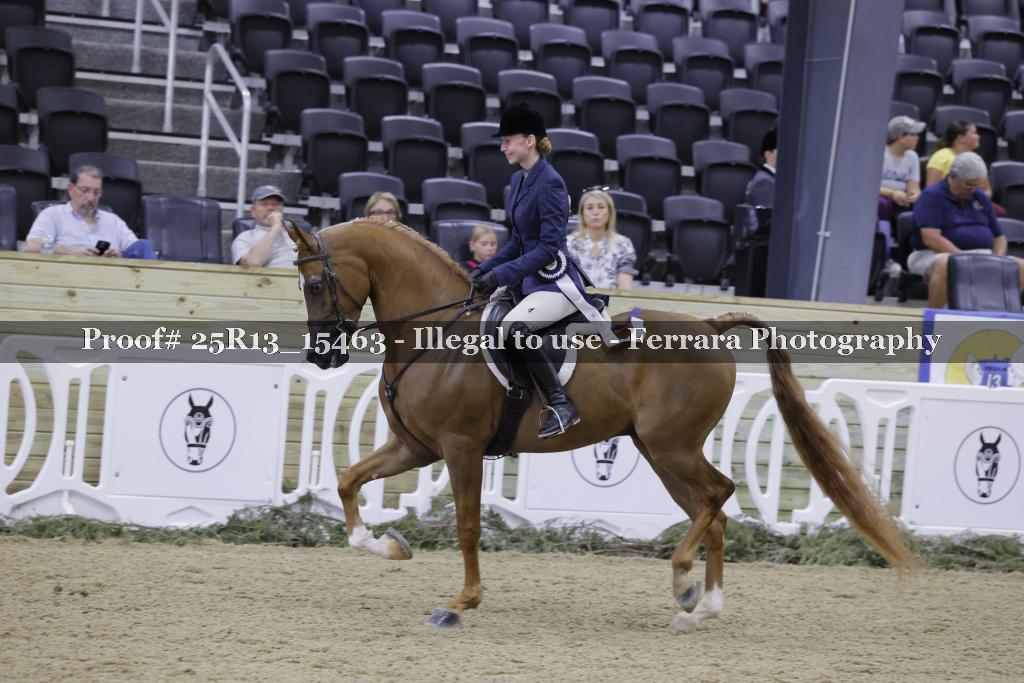 Proof 25R13_15463