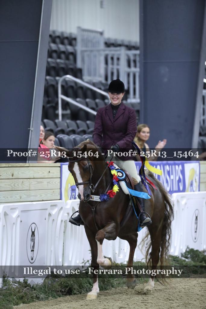 Proof 25R13_15464