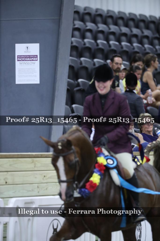 Proof 25R13_15465