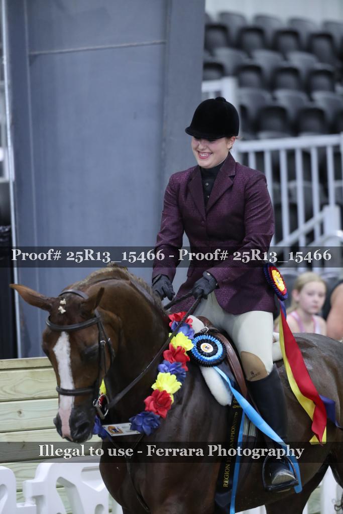 Proof 25R13_15466