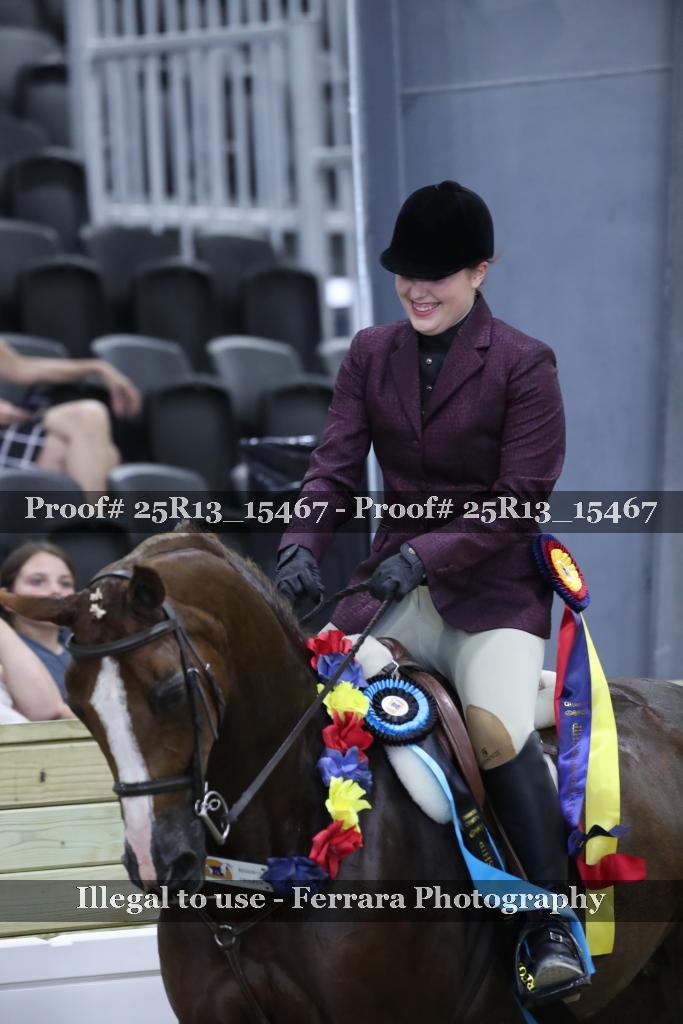 Proof 25R13_15467