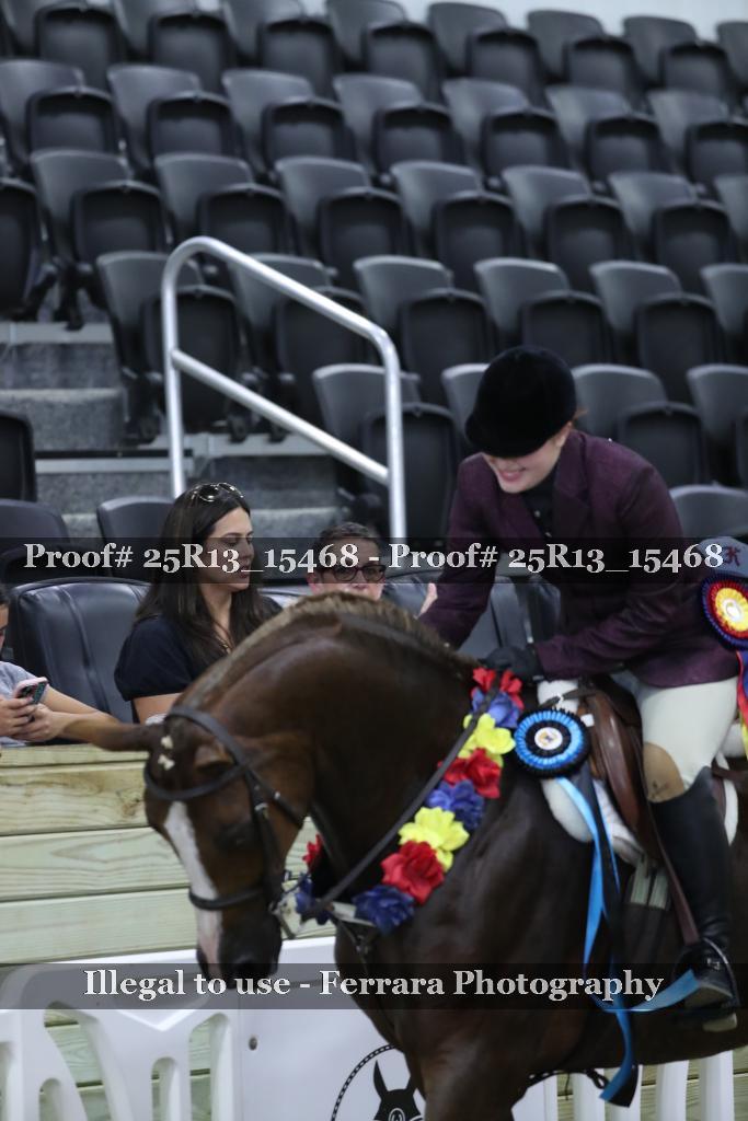 Proof 25R13_15468