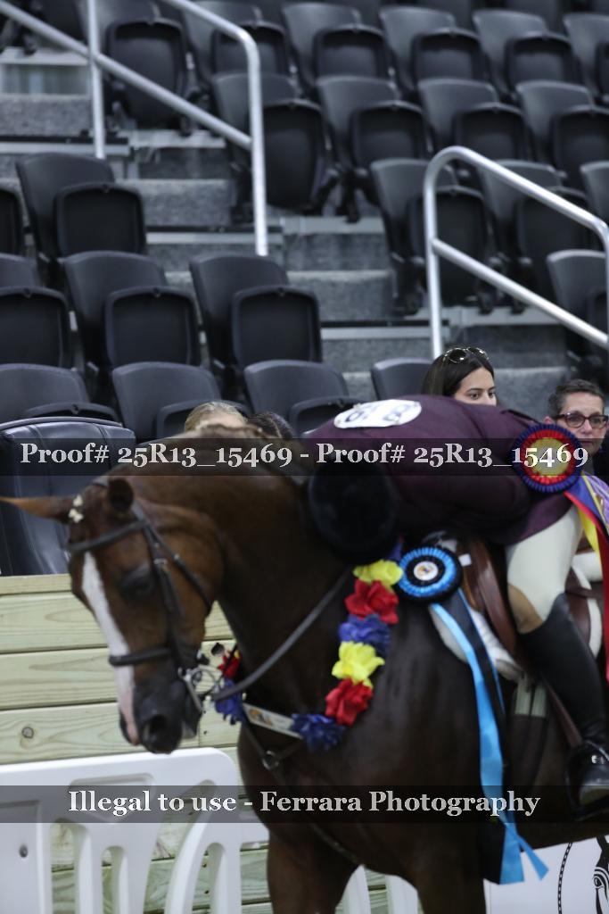 Proof 25R13_15469