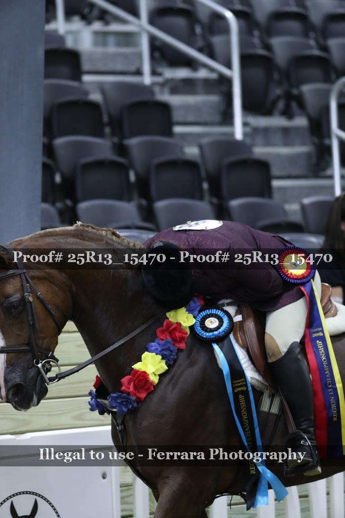 Proof 25R13_15470