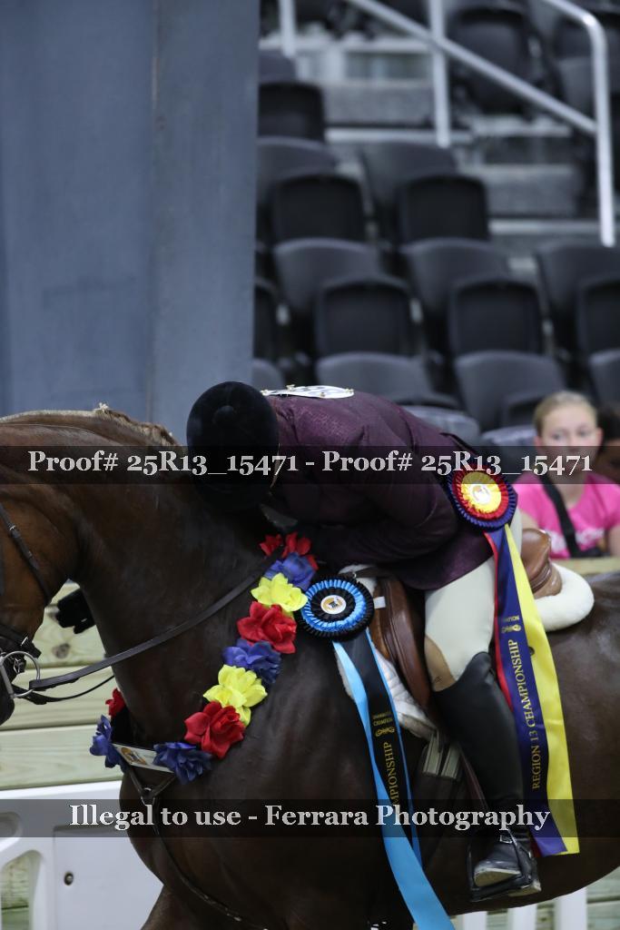 Proof 25R13_15471
