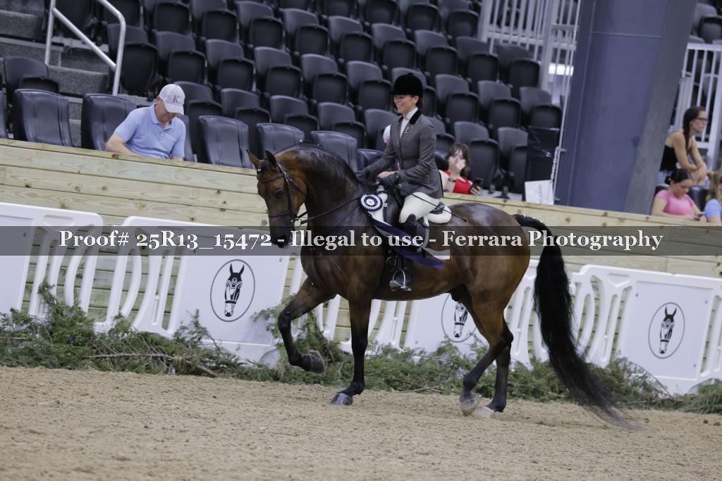 Proof 25R13_15472