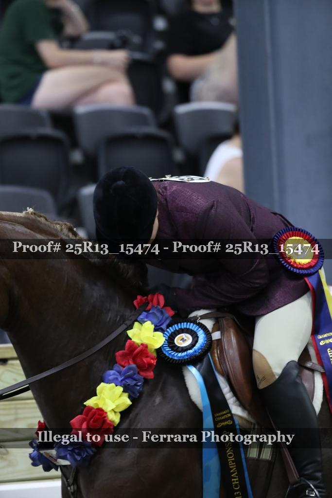 Proof 25R13_15474