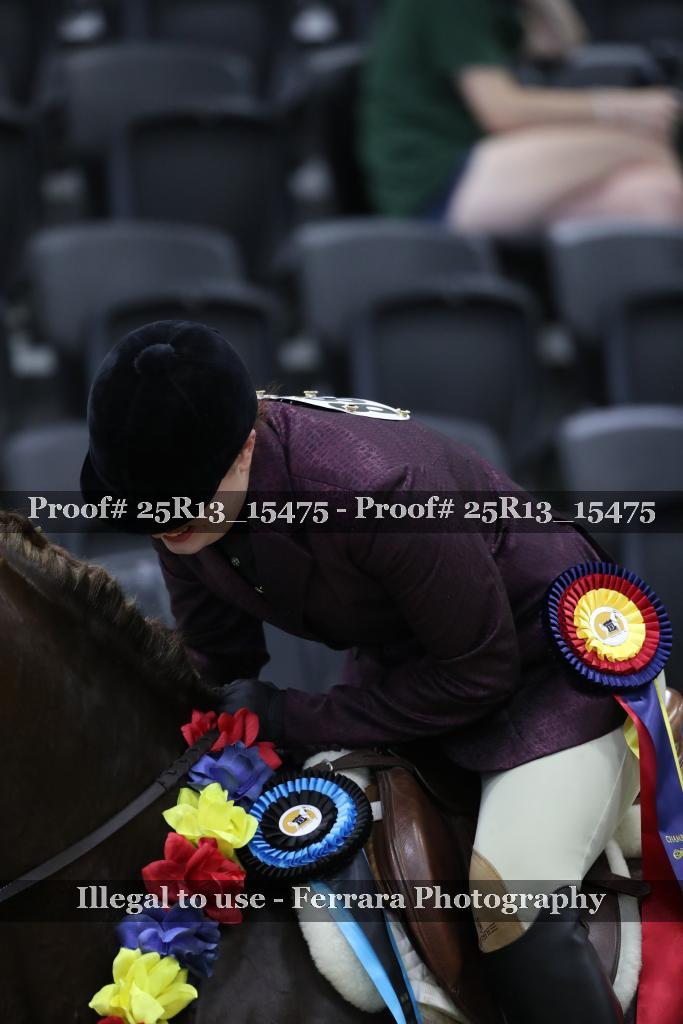 Proof 25R13_15475