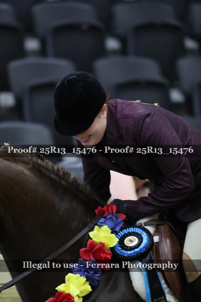 Proof 25R13_15476