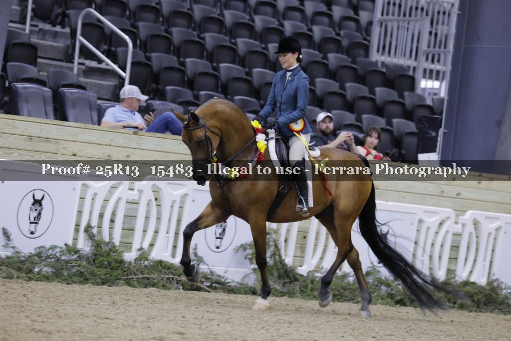 Proof 25R13_15483