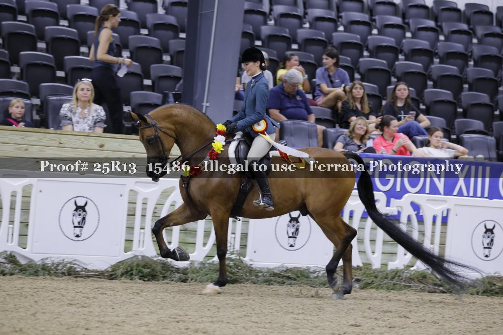 Proof 25R13_15486