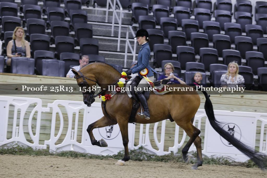 Proof 25R13_15487