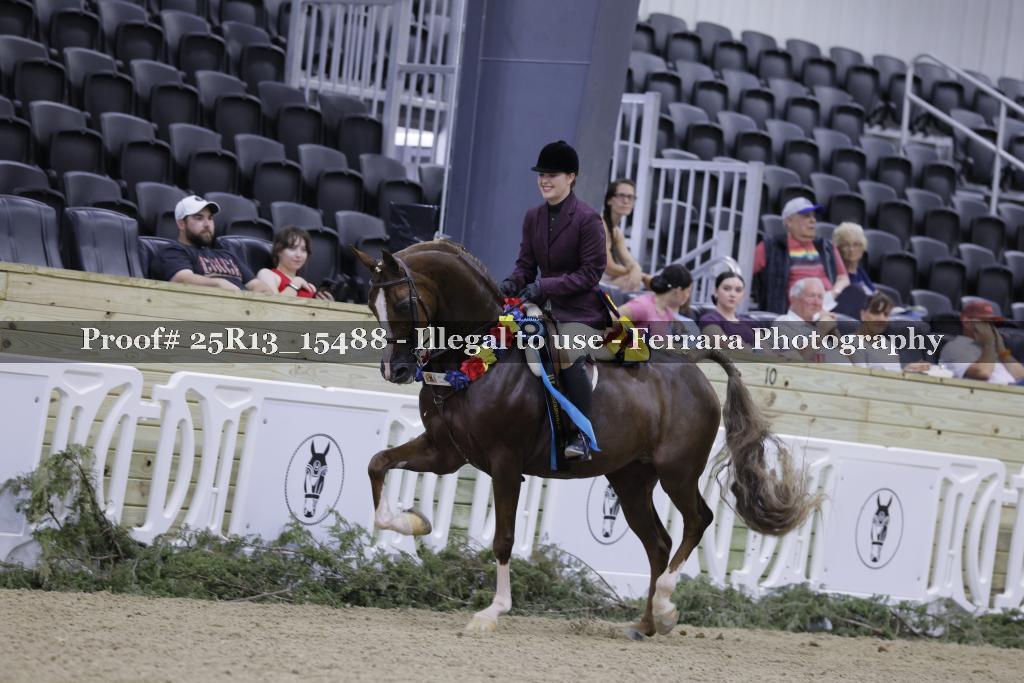 Proof 25R13_15488
