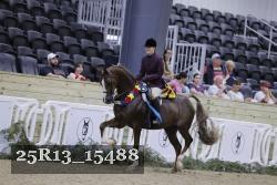 25R13_15488 proof