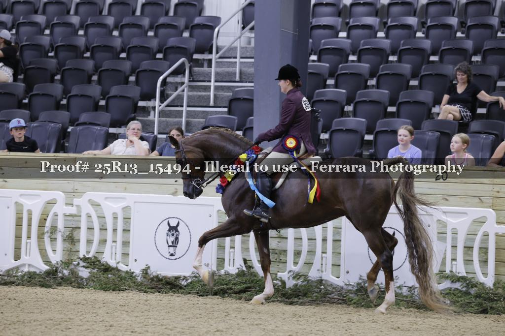 Proof 25R13_15494