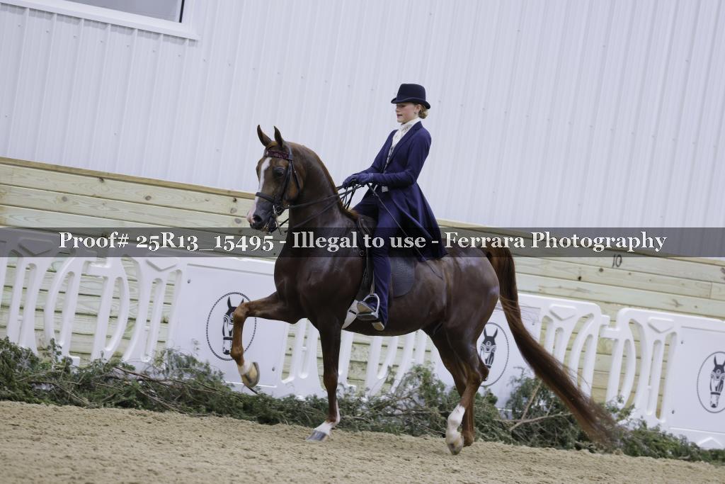 Proof 25R13_15495